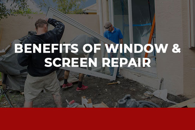 Window Screen Repair